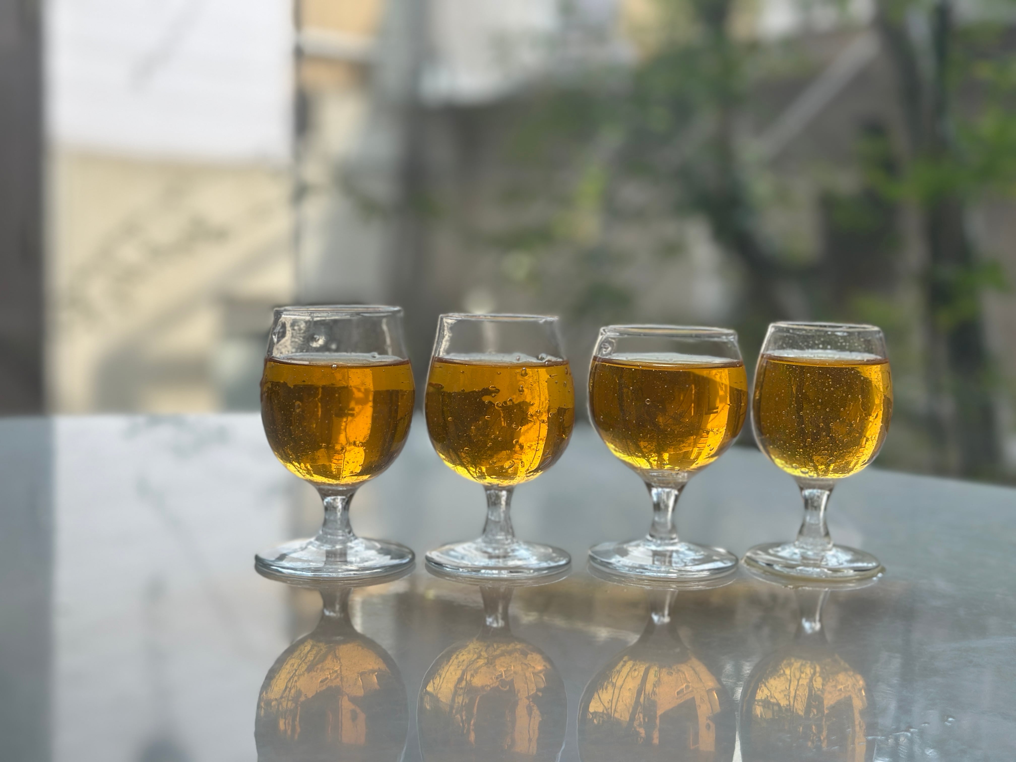 タカラモノ | proto器とタカラモノ