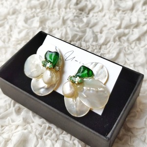 Wing / pierce or earrings