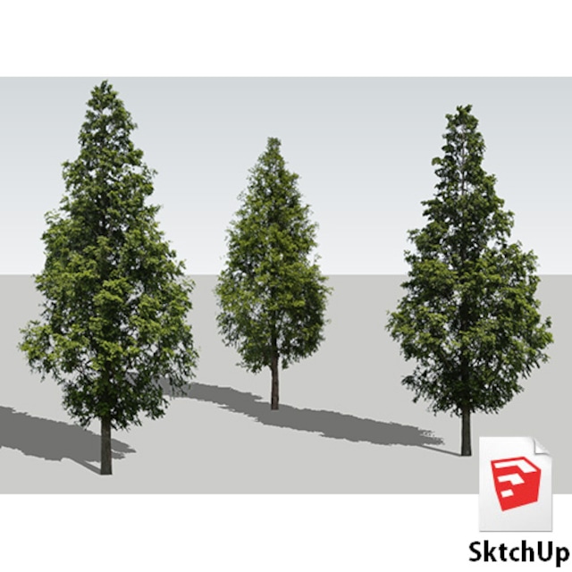樹木SketchUp 4t_007 - メイン画像