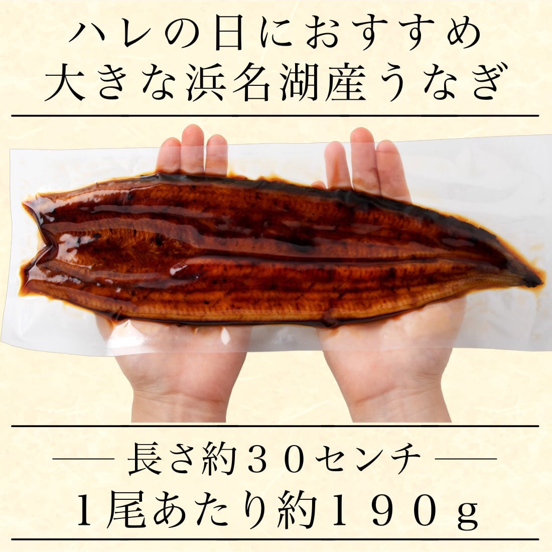 ギフト 浜名湖 国産 うなぎ 蒲焼 無頭 特大サイズ 約190g×1尾