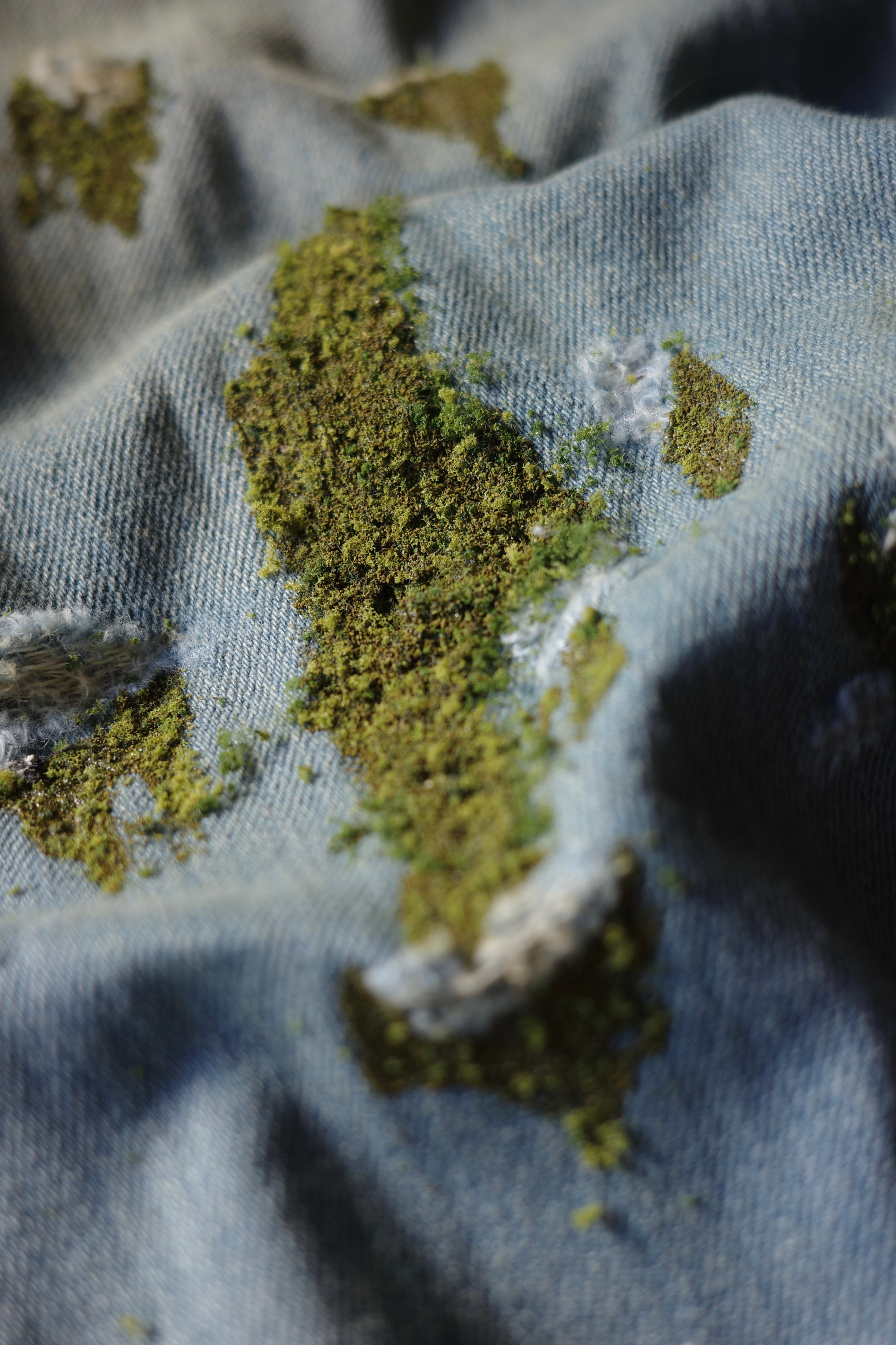 LITTLE.BEDROOM 【WARP HOLE DENIM -Moss-】 | lloomm