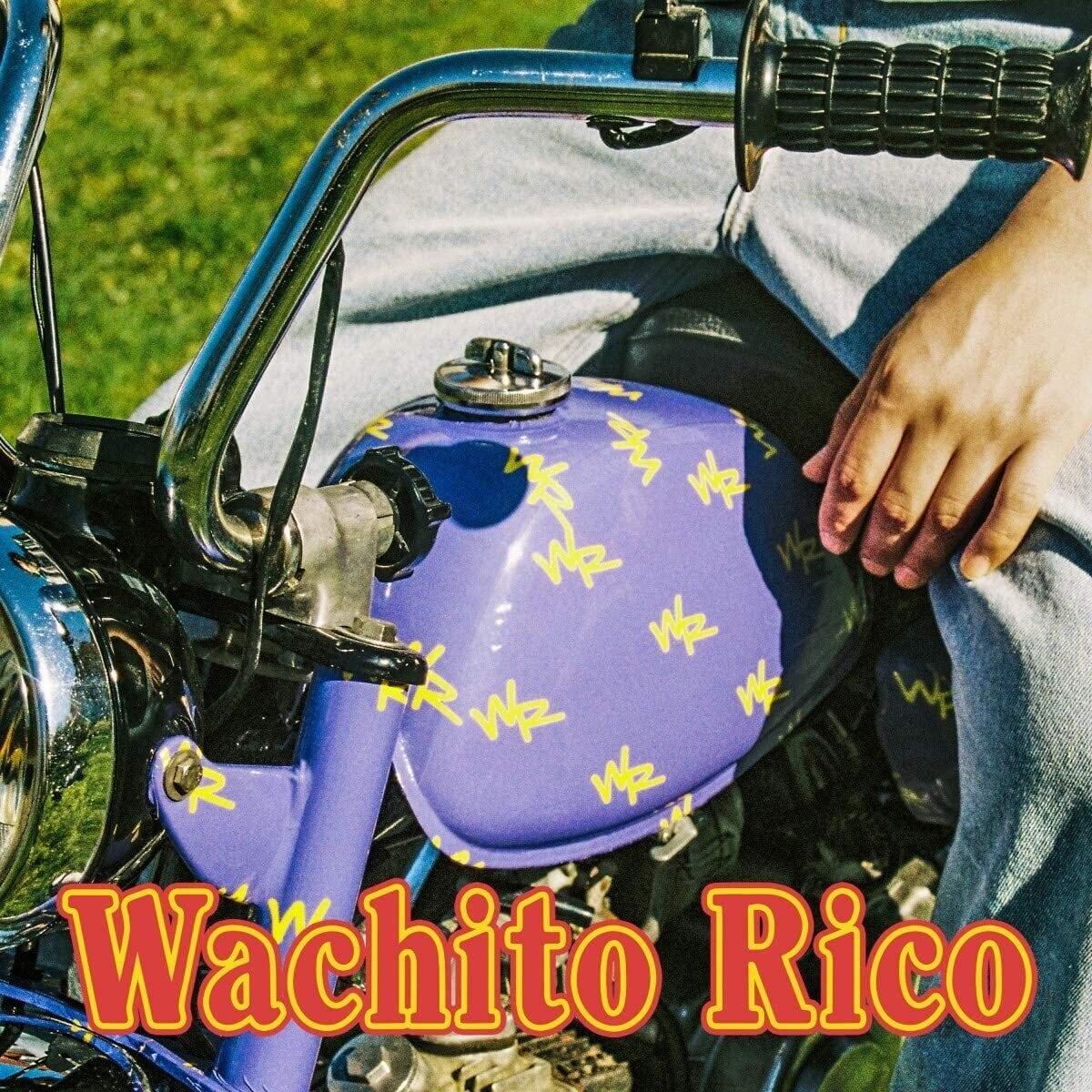 Boy Pablo / Wachito Rico（LP）