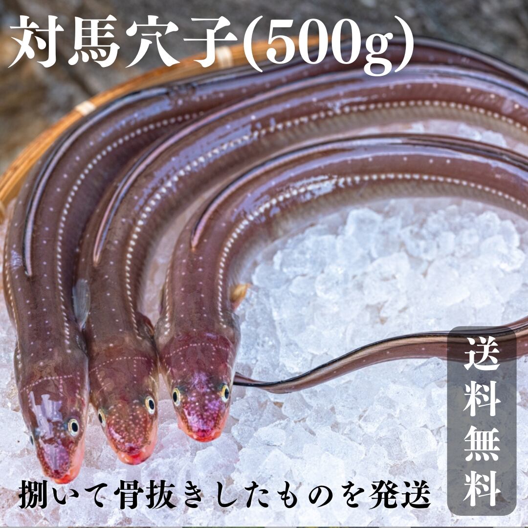 送料無料 長崎県 対馬産 天然アナゴの開き 500g 産地直送 ご家庭用 産直サイト ライドザシップ