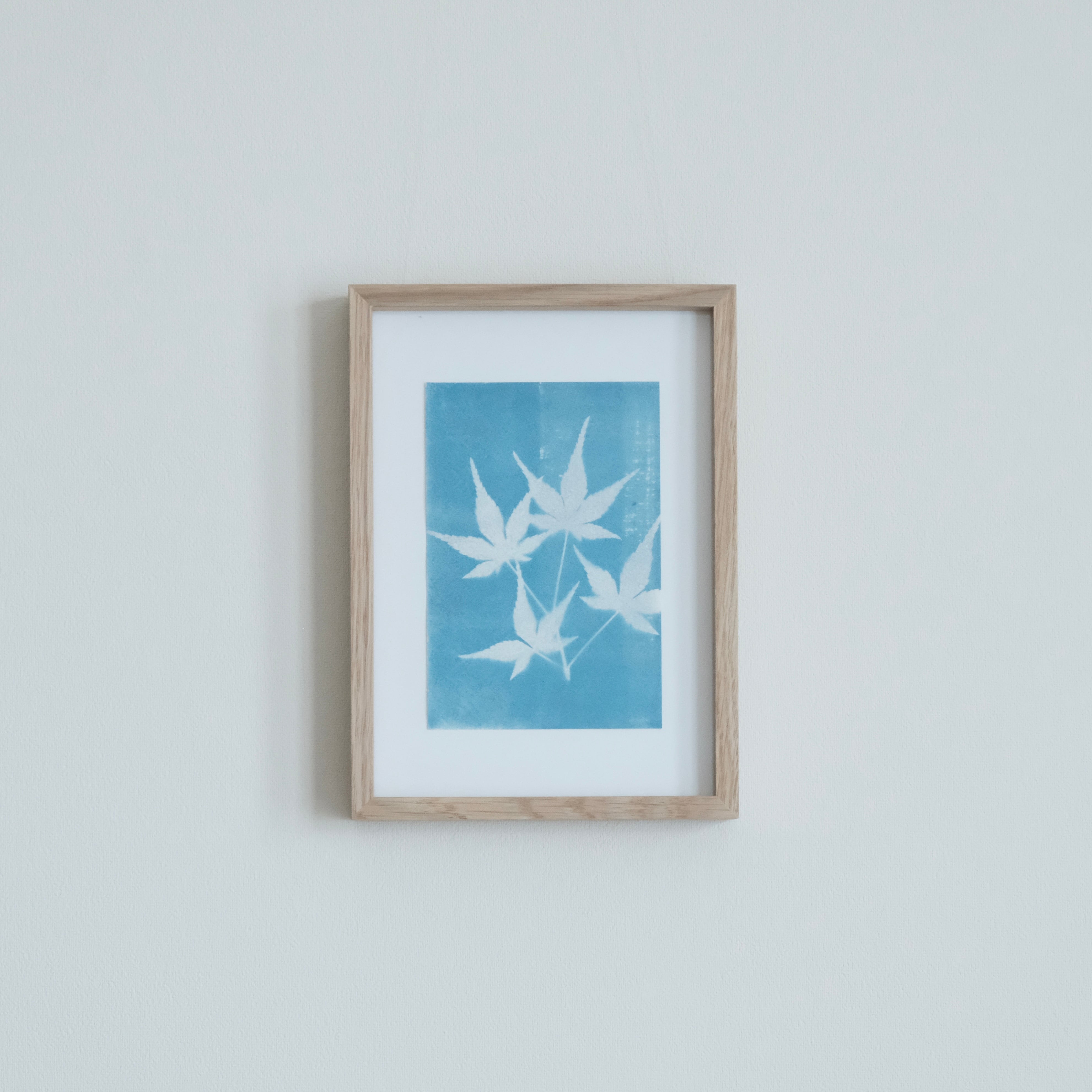 植物の青写真　cyanotype #4