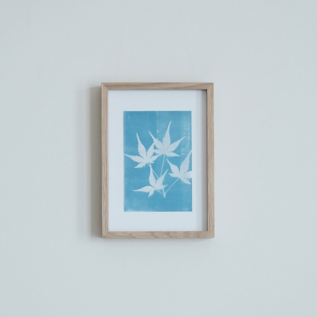 植物の青写真　cyanotype #4