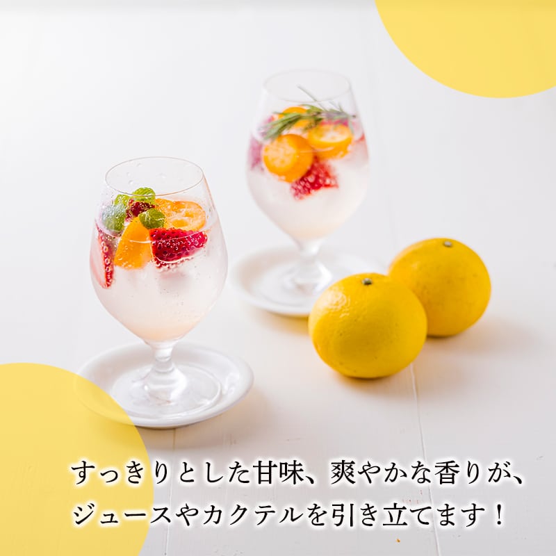 宮崎県産】日向夏冷凍果汁 ／ 1kg【業務用】 | ムラタ拉麺