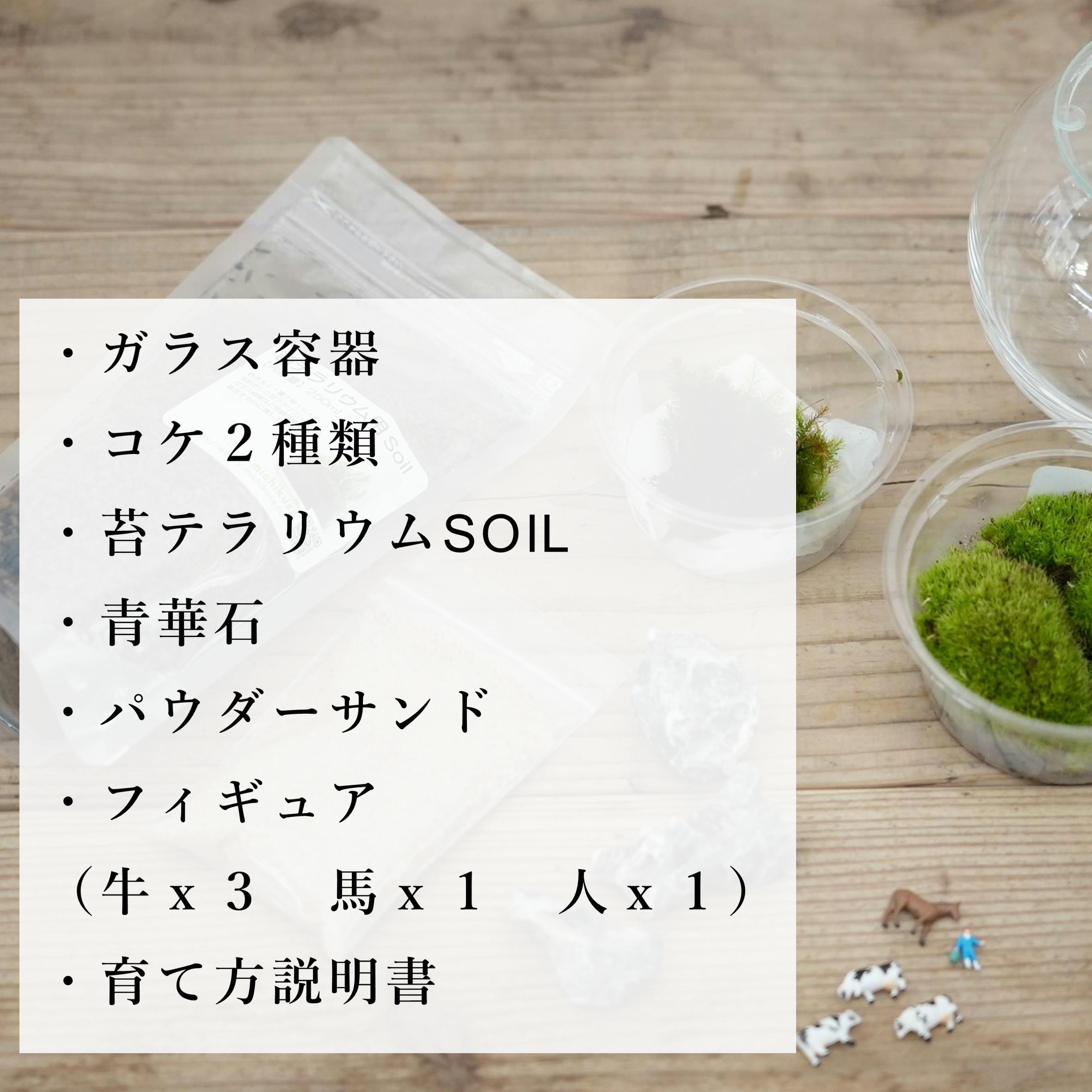 作製キット】牧場苔テラリウム作製キット◇動画解説付き | 苔