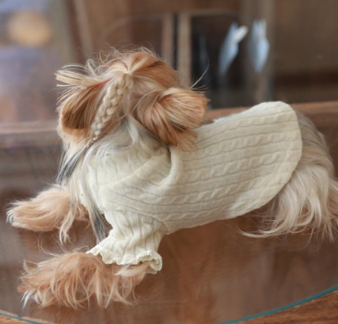 〖予約〗1103234 編み込みインナーセーター