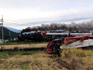 米粉　1kｇ　ご家庭用　日光棚田米