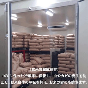 有機JAS栽培米　30kg（5kg×6個）