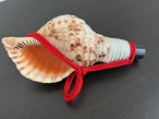 法螺貝ミニ装飾　22cm 220g