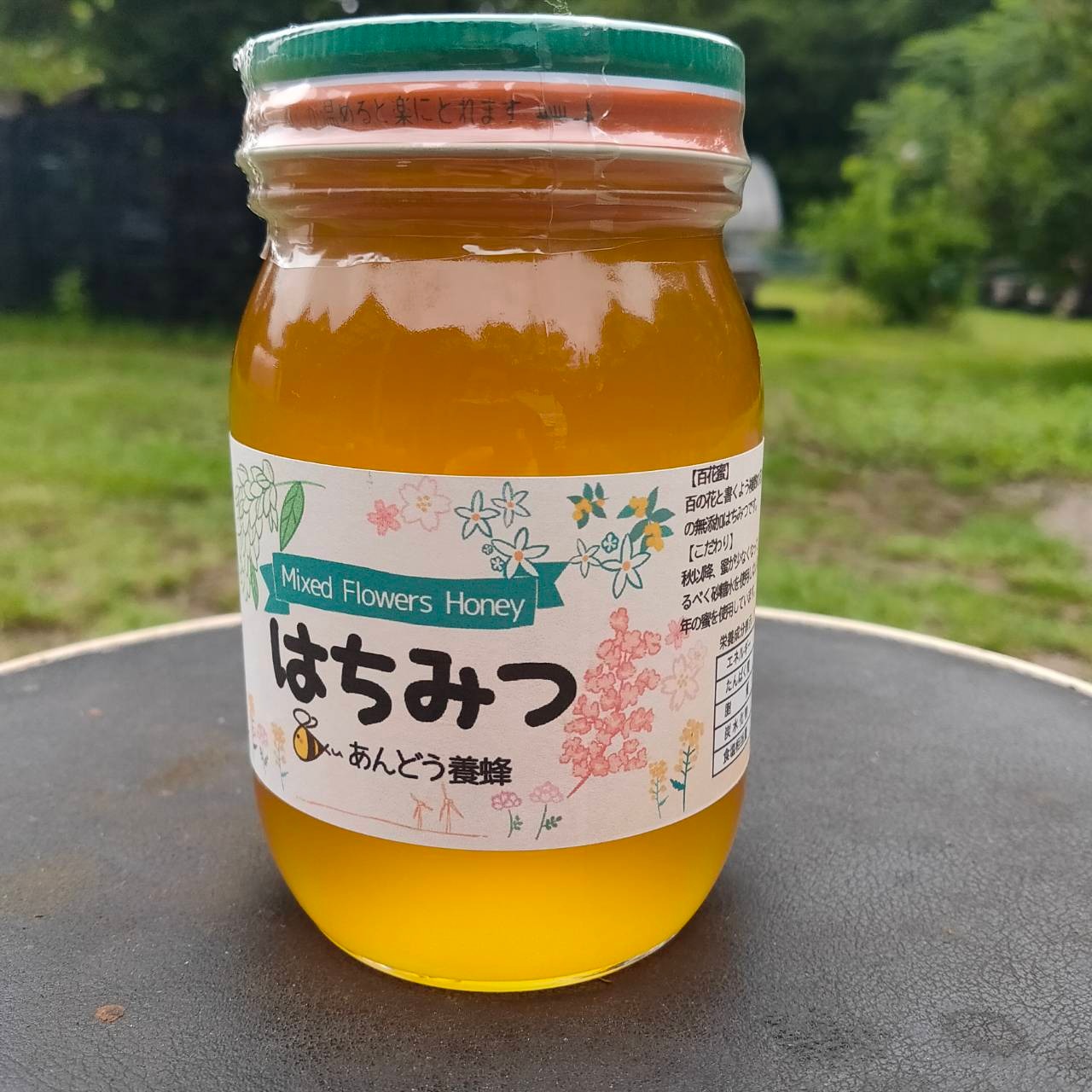 【予約 小学生用】あんどう養蜂　まるごと養蜂体験（約3時間）蜂蜜プレゼント ※2025/10/1〜