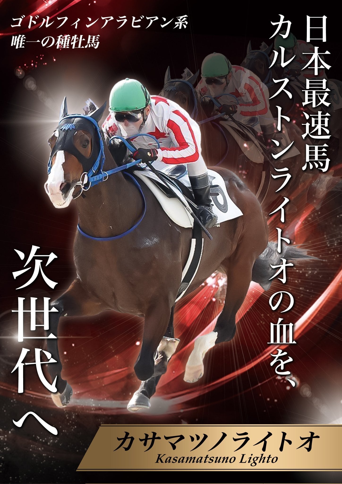 LONGINES香港競馬場 キーチェーンぬいぐるみ （グレーver