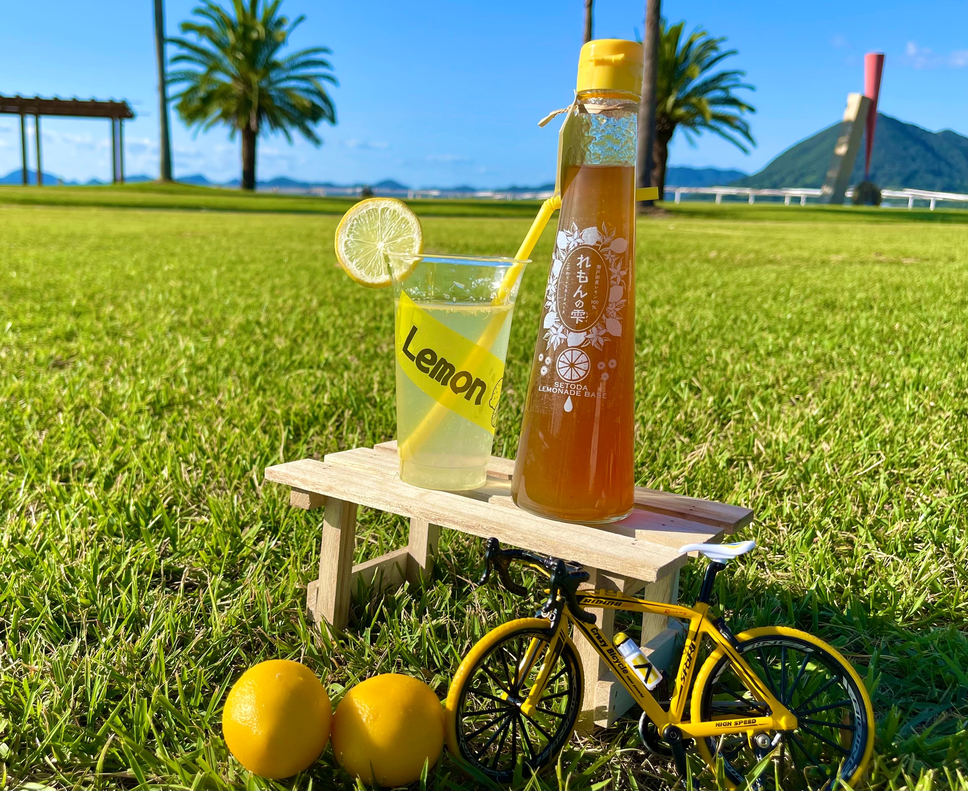 レモンボトル　5本セット ac211ec6ef1ae17fb41d60535515c0