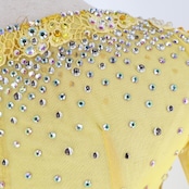 社交ダンス 衣装 スタンダードドレス ワンピース ドレス スタンダード 黄色 レース デモ 競技 ダンス パーティ 発表会 上品 綺麗 華やか イエロー系 フロート スカート 3枚重ね 落ち感 競技用 発表会用 ステージ衣装 ゴージャス コスチューム ロングドレス パーティー ショー