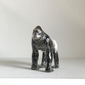 植田 楽さん／#37　ニシローランドゴリラ