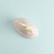 < 桂さえか > 星テントオブジェ