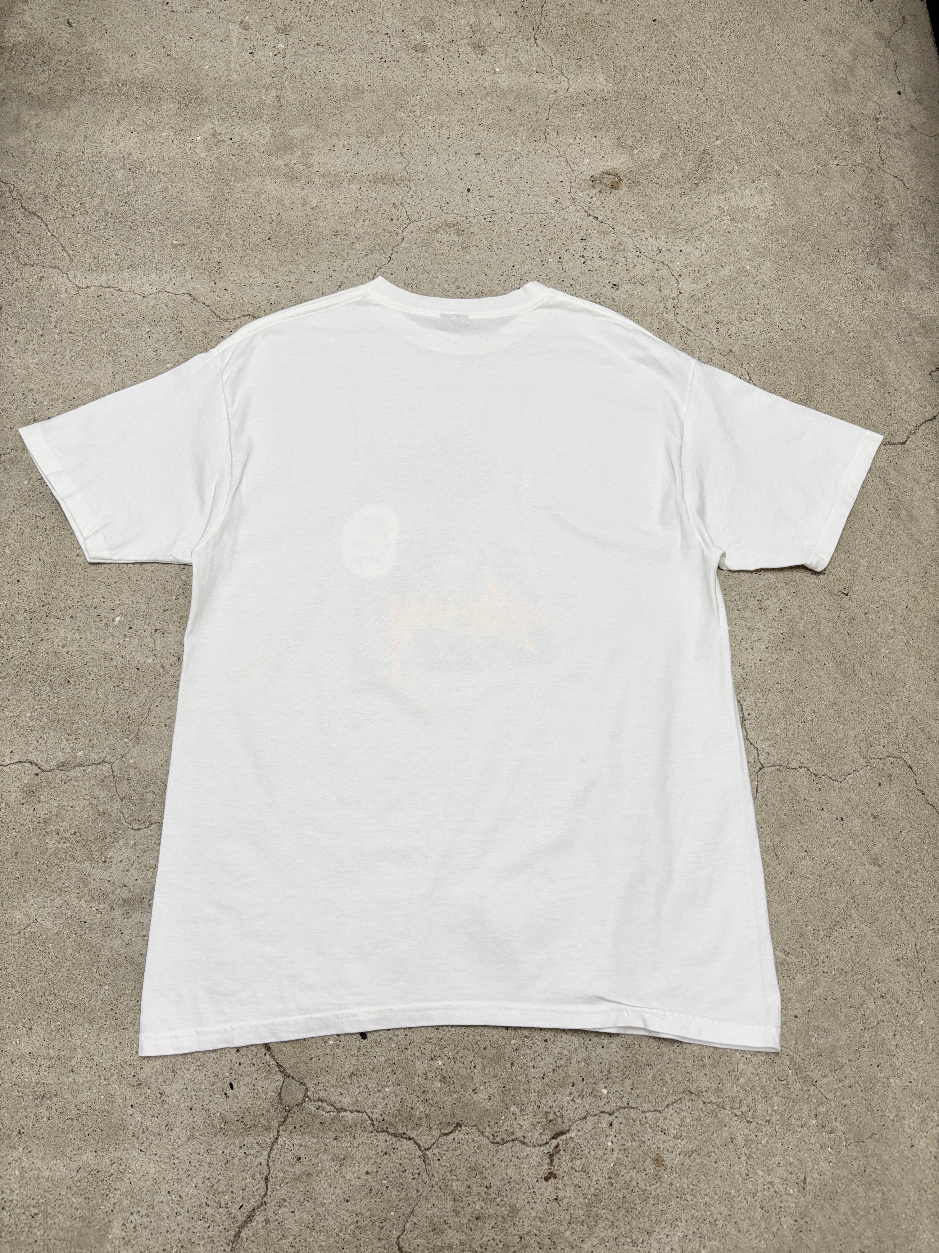 00s OLD STUSSY/Naomi Campbell print Tee/L/ナオミキャンベルプリント