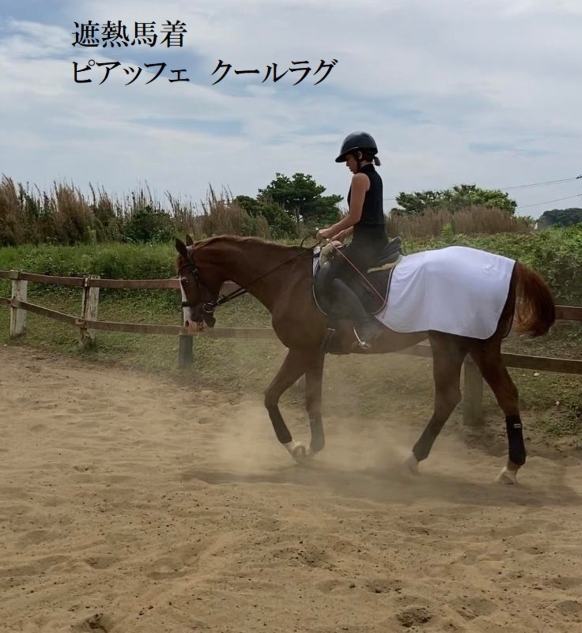 クールラグ 遮熱馬着 ライディングタイプ | 乗馬用品 | ピアッフェ 