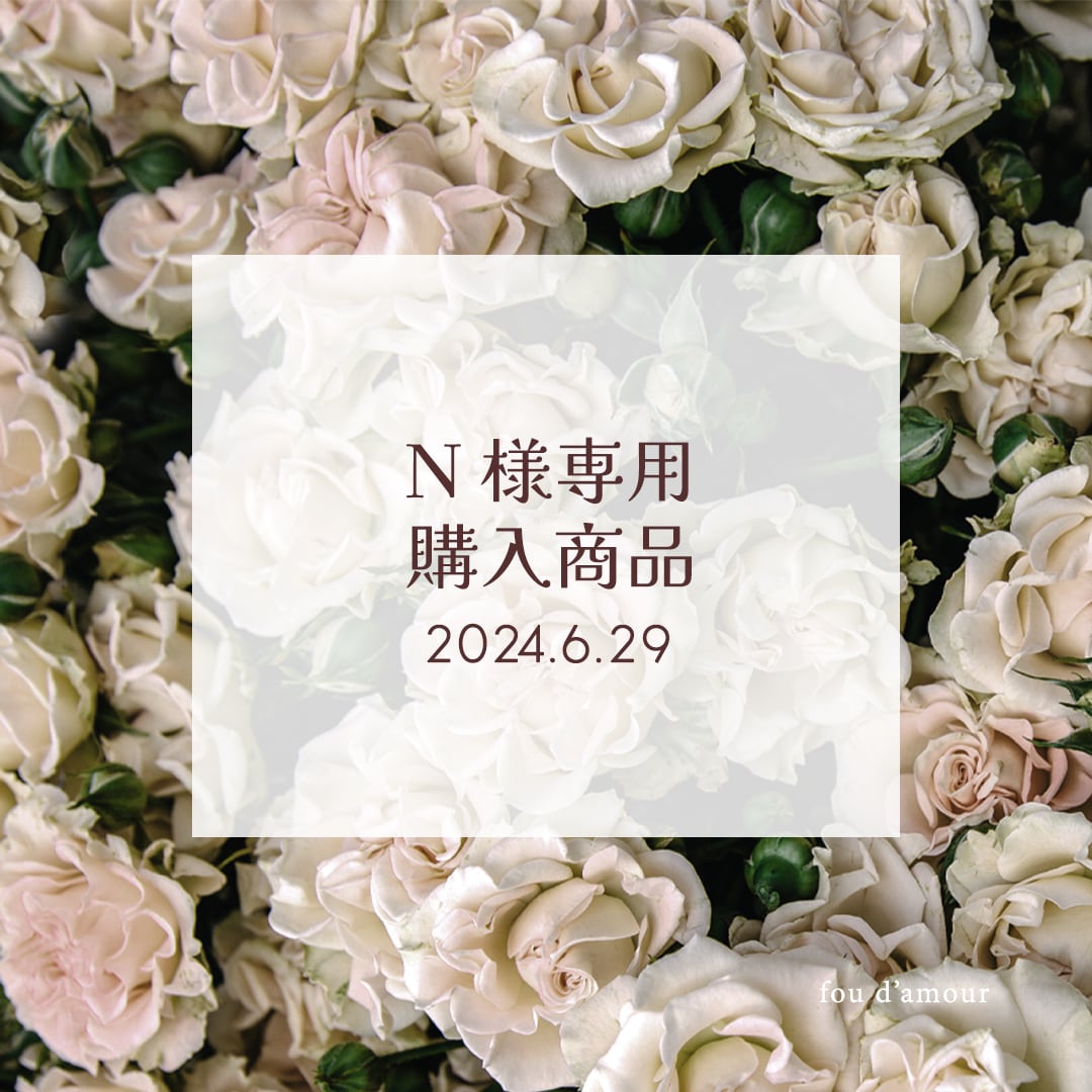 Nさん専用ページ (N様専用ページ(オプション追加用) | from egg) Nさん専用ページ (N様専用ページ(オプション追加用) | from egg)