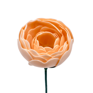 ラナンキュラスN-O2 シャーベットオレンジ　(15輪入りor25輪入り)