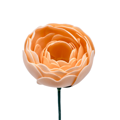 ラナンキュラスN-O2 シャーベットオレンジ (15輪入りor25輪入り)