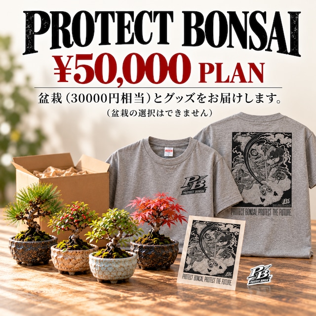 やじま園の盆栽＆PROTECT BONSAI SET｜5万円セットグレー（購入期間10