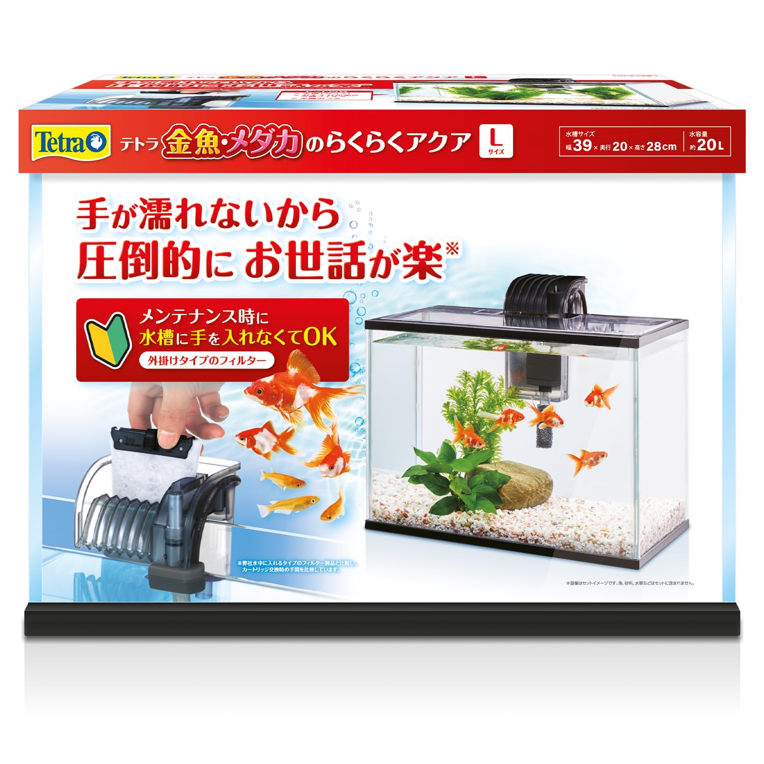 成魚 レックウザ メダカ 10匹＋α | PAY ID