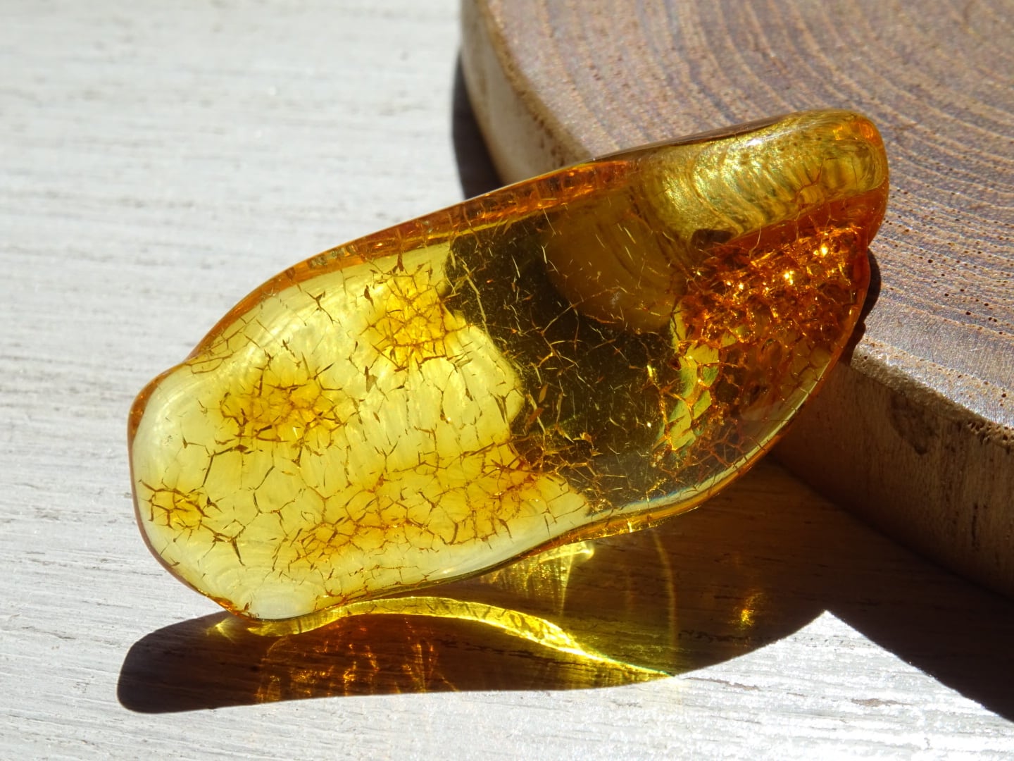 バルティックアンバー（バルト海琥珀） ~Honey The Treasure~ | 虹石屋