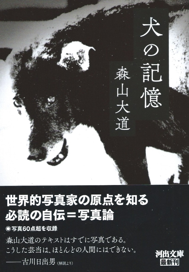 犬の記憶