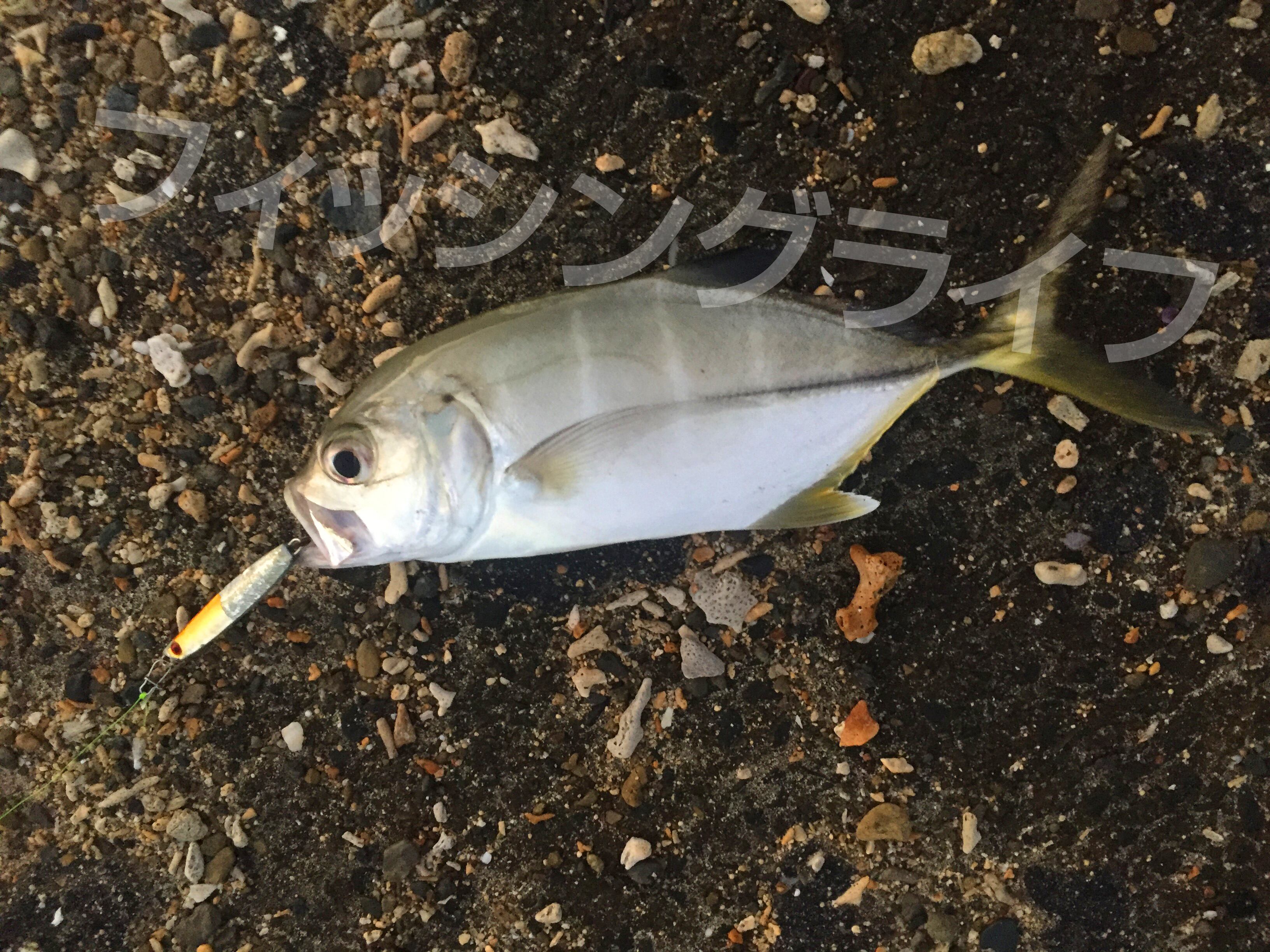 送料無料】トリプルフック #6 20本 トレブルフック | フィッシング