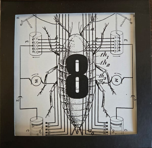 CD | 死体カセット