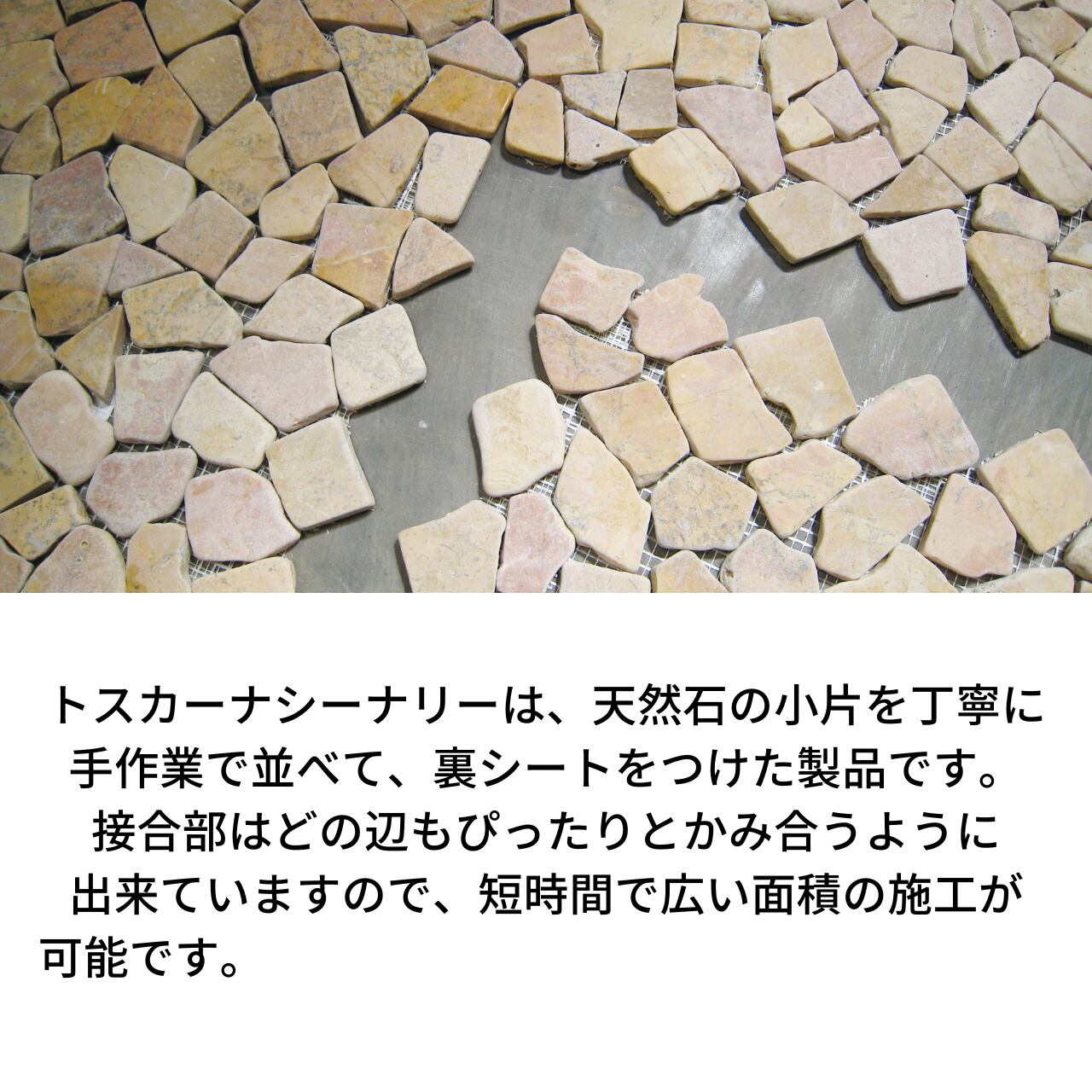 トスカーナシーナリー TOSCANA SHENERY