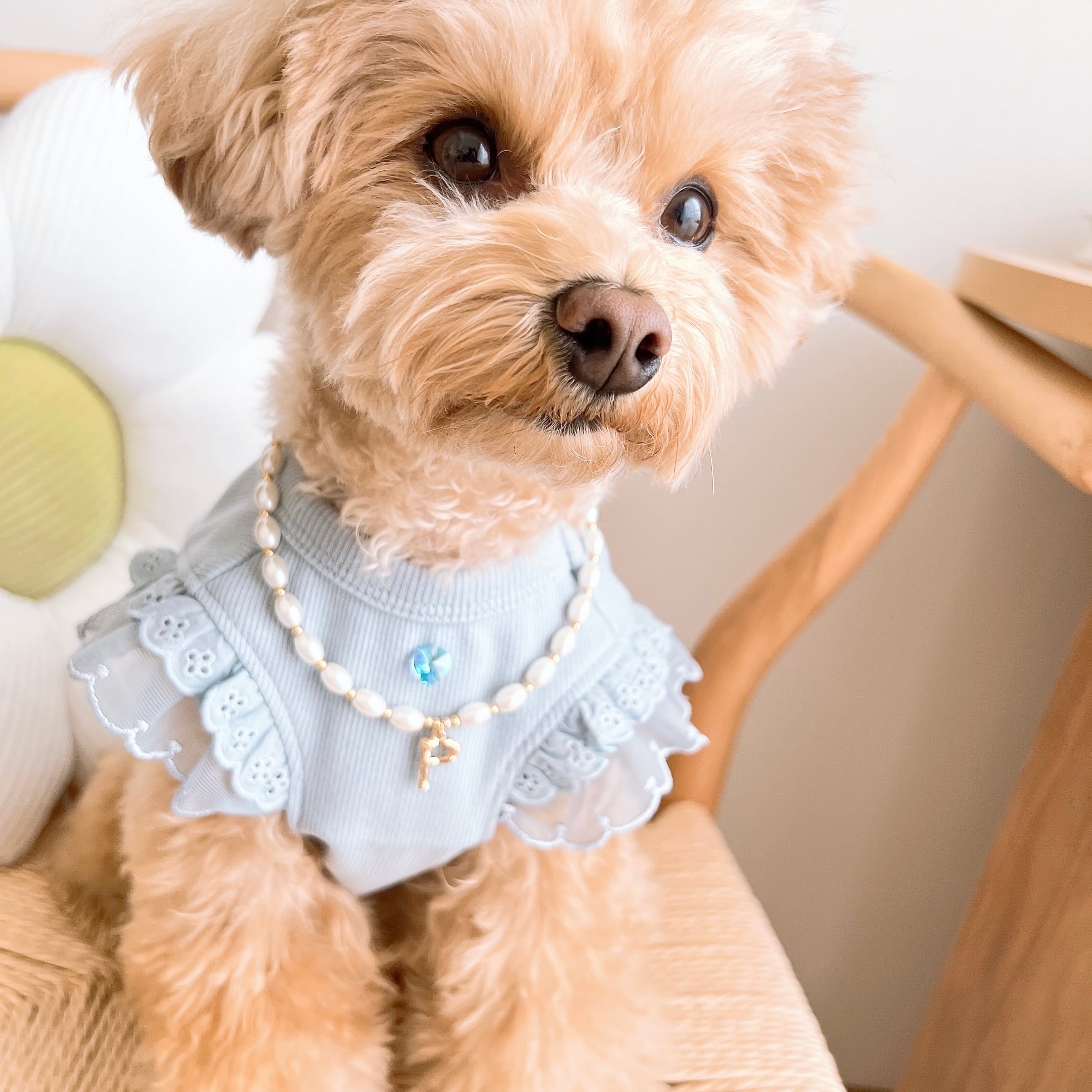 高級感たっぷりイニシャルネックレス