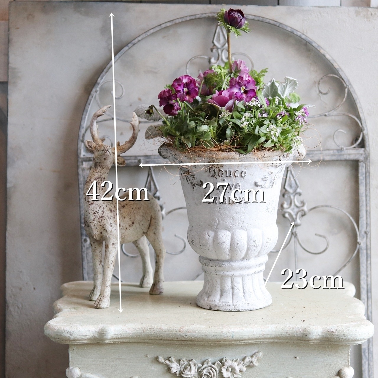 冬から春に楽しむ寄せ植え　アネモネファネモスアンティークなポットのベルベットバイオレットの寄せ植え　お正月にオススメ　届いてすぐ玄関に飾れる 　プレゼントにもオススメ　