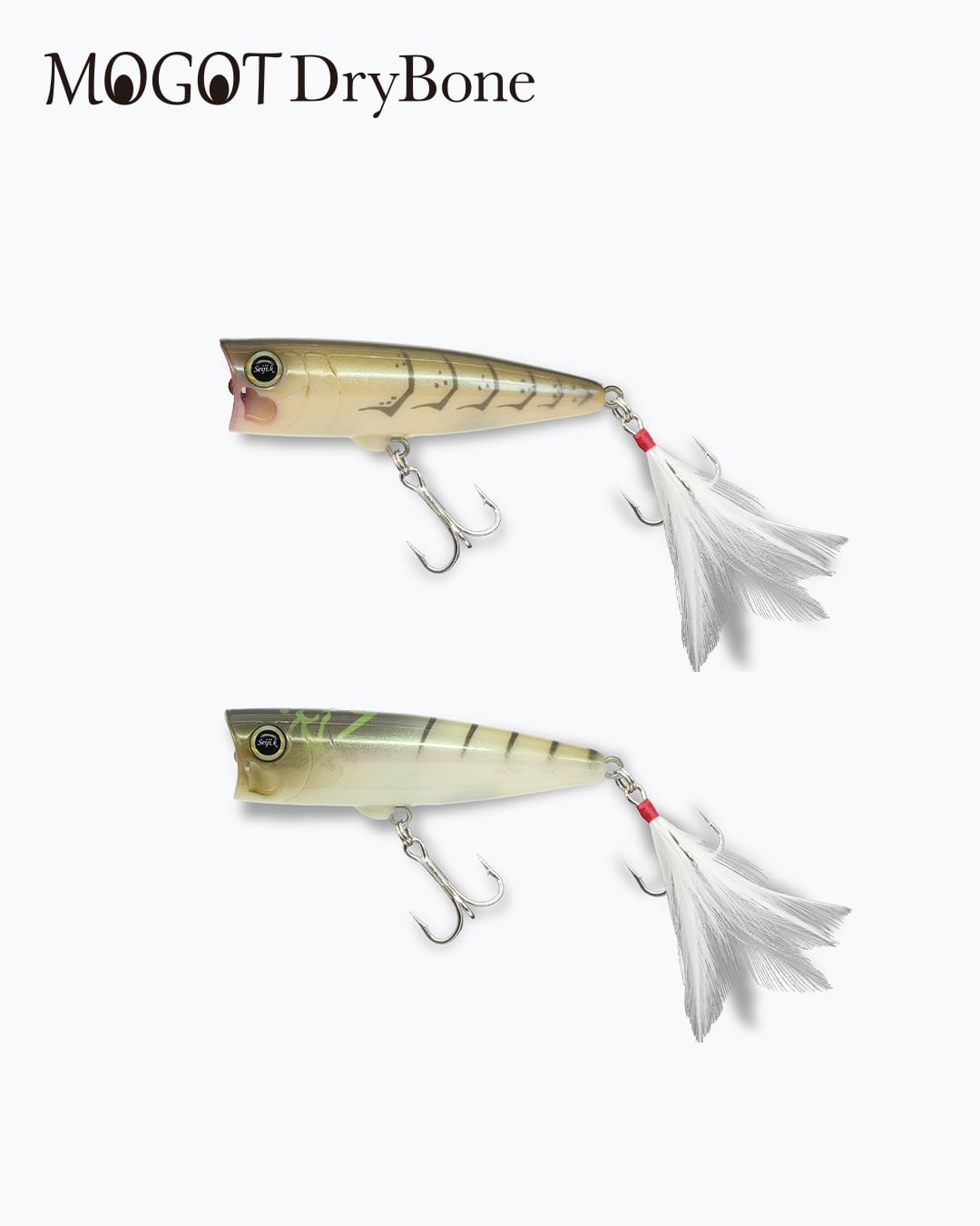 REVONIK / MOGOT DryBone Type：POP＆DOG | ルアーショップB－FARM