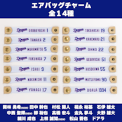 <中日ドラゴンズ> エアバッグチャーム2026 アップサイクルエアバッグ