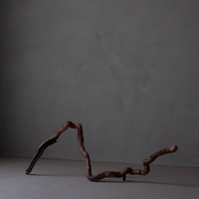 Branch