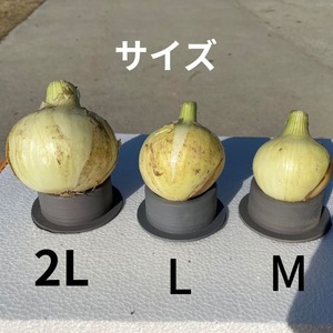 淡路島　 新玉ねぎ 3ｋｇ