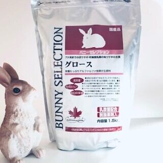 イースター バニーセレクション グロース 1 5kg うさぎ餌 うさぎペレット Chou Chou シュシュ うさぎ用品