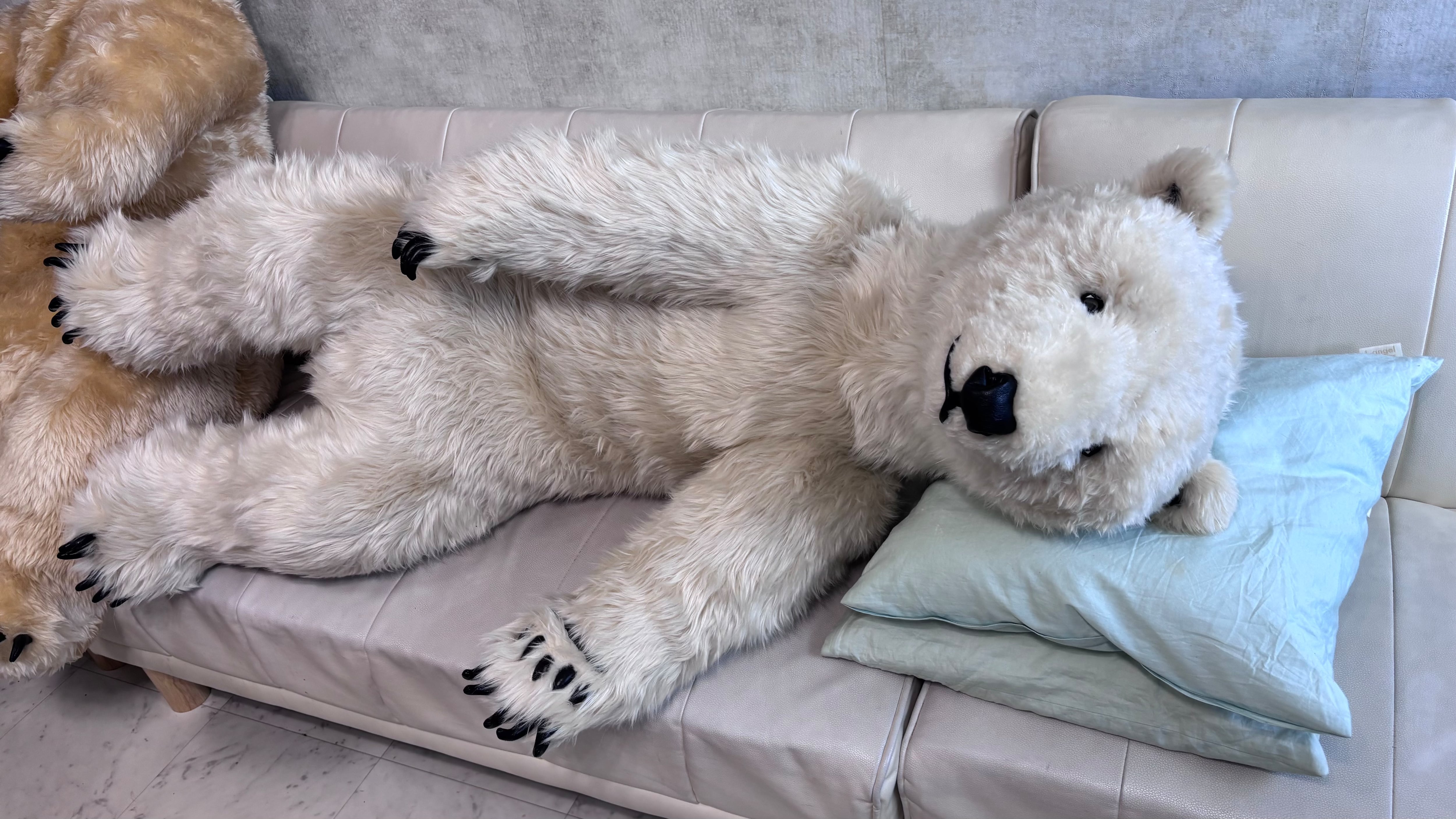 No.85 ホッキョクグマぬいぐるみ | POLAR teddy BEARS .jp