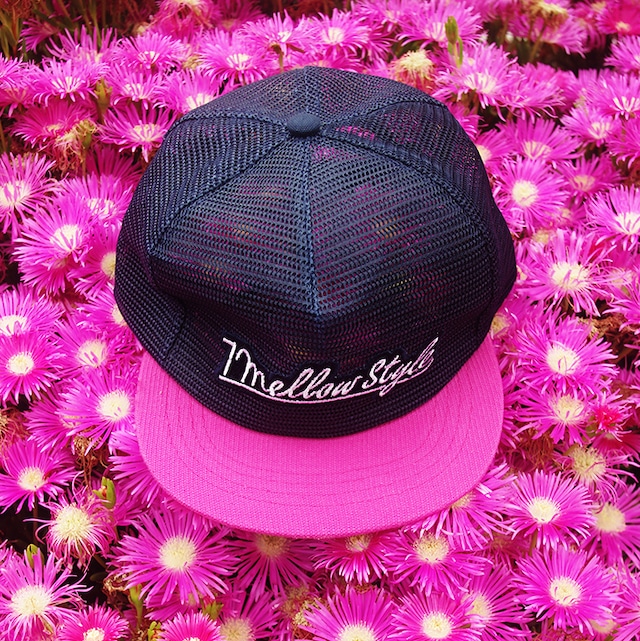 Mesh cap　メッシュキャップ