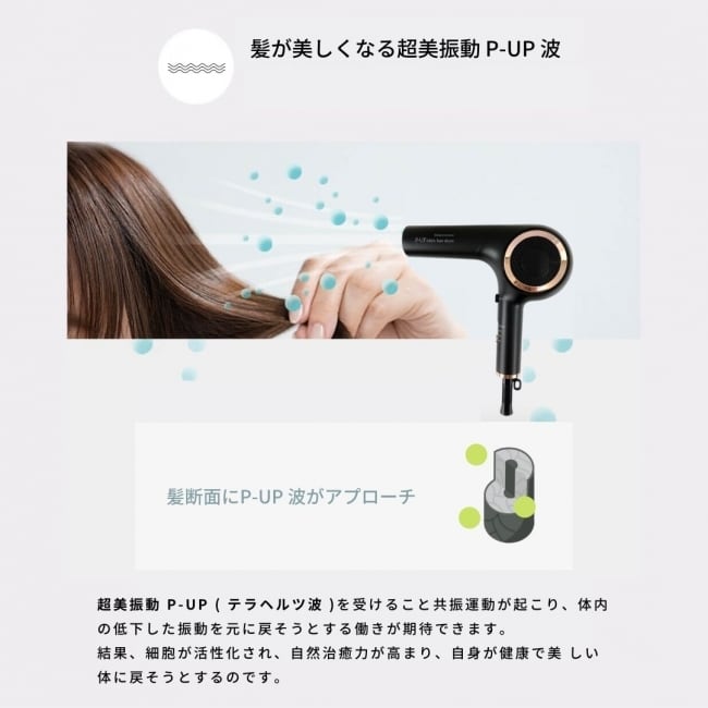 1週間で3000店舗のサロンが導入した【P-UP CREA ヘアー ドライヤー】髪 ...