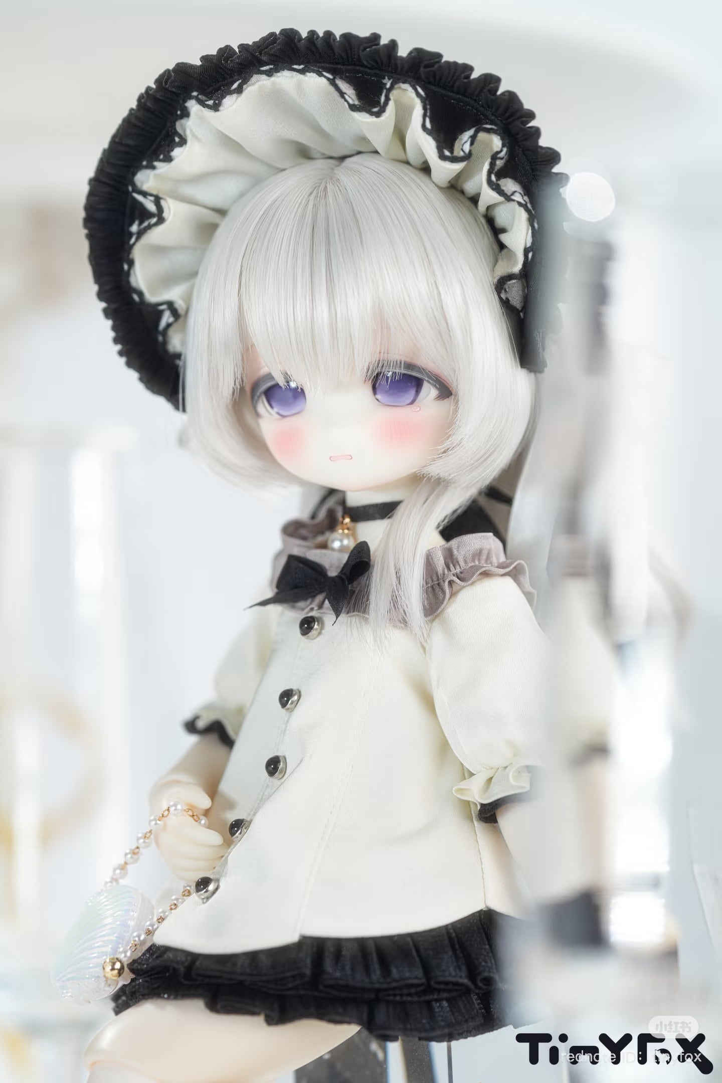 ドールショップEDEN ドールショップEDEN