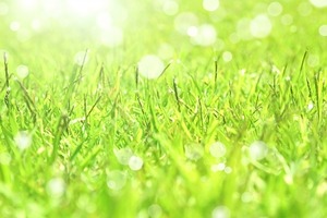 臼井式レイキ遠隔伝授　サードディグリー（リアルタイム再伝授）