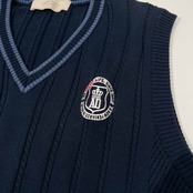 adabat アダバット チルデン風 Vネック メッシュ コットンニット ベスト 46 /メンズ/ネイビー/ゴルフ