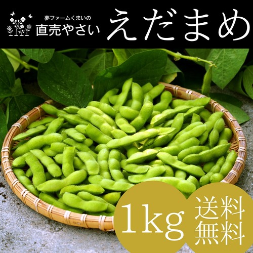 新潟 枝豆 旬の夏 1kg 送料無料 朝採り 収穫当日直送