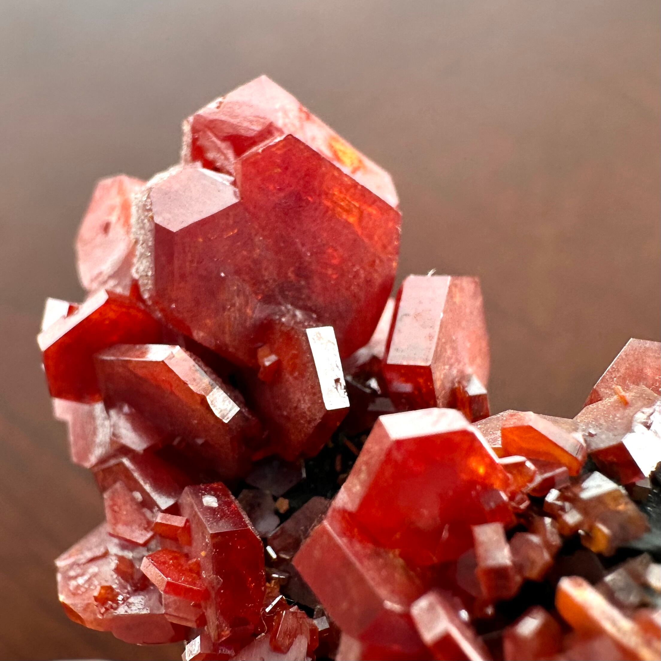 バナジナイト【Vanadinite】モロッコ産 | PEANUTS MINERALS