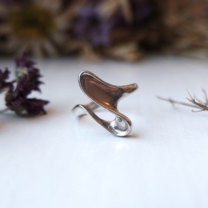 有機曲線のシルバーリング (vijg-8)