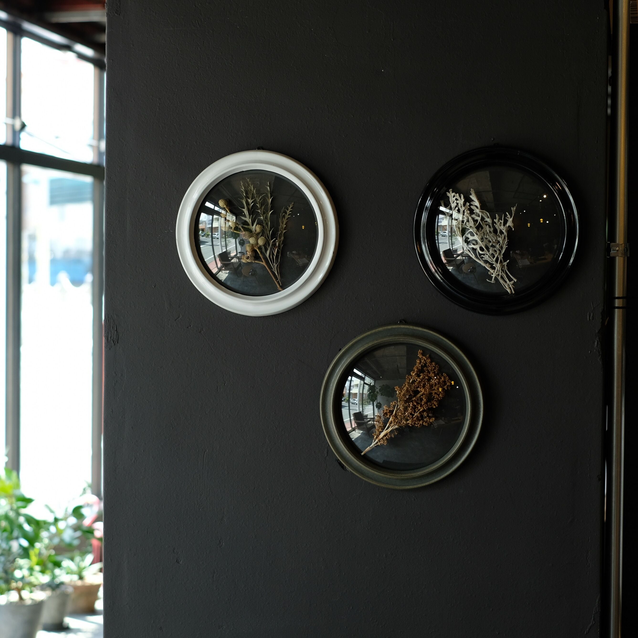Convex Glass Case DF (L) | WEST VILLAGE TOKYO